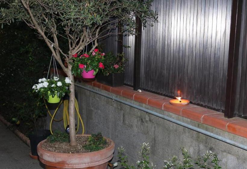 Номер Стандарт, Home To Fly