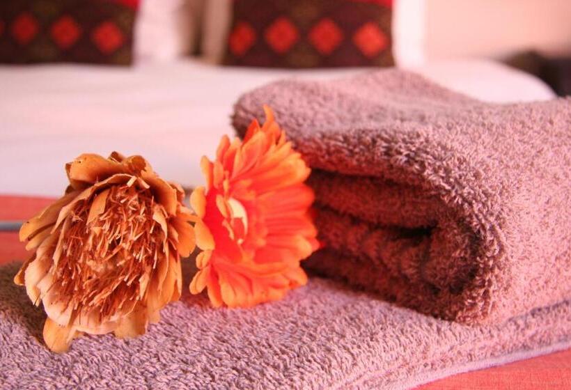 اتاق استاندارد, Dunedin Star Guesthouse