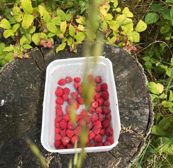 スタンダードルーム, The Pheasant Pub At Gestingthorpe Stylish Boutique Rooms In The Coach House