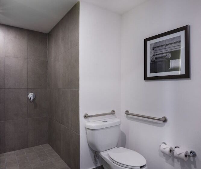 اتاق استاندارد با تخت دوبل, Hampton Inn San Luis Potosi