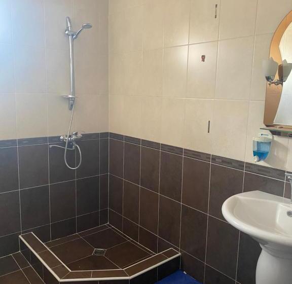 اتاق اکونومی, Amadeus