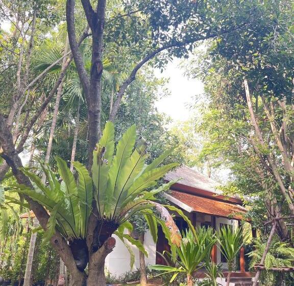 חדר סטנדרט לשלושה עם מרפסת, Tai Resort