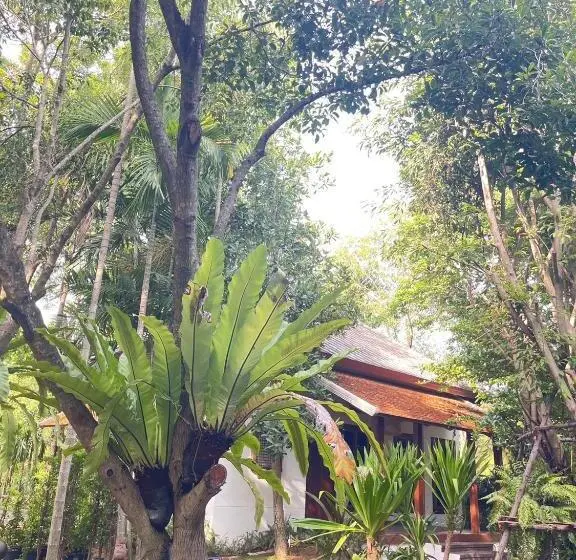 バルコニー付きスタンダードトリプルルーム, Tai Resort