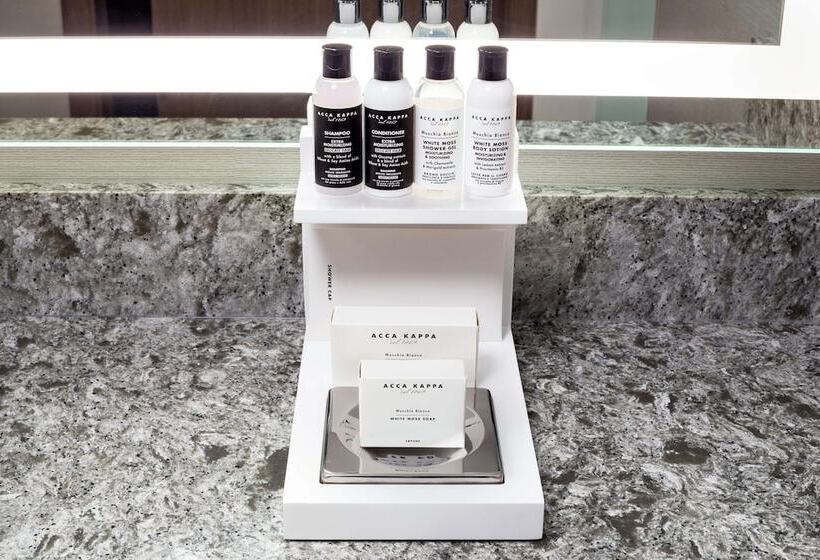 غرفة تنفيذية, Hilton Rochester Mayo Clinic Area