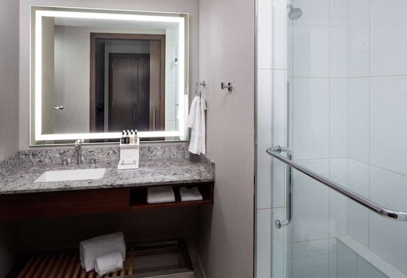 غرفة تنفيذية, Hilton Rochester Mayo Clinic Area