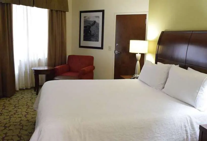 Standard Room King Size Bed