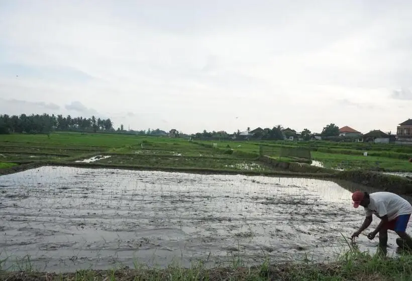 Sviitti Allasnäkymä, Pondok Uma Ubud