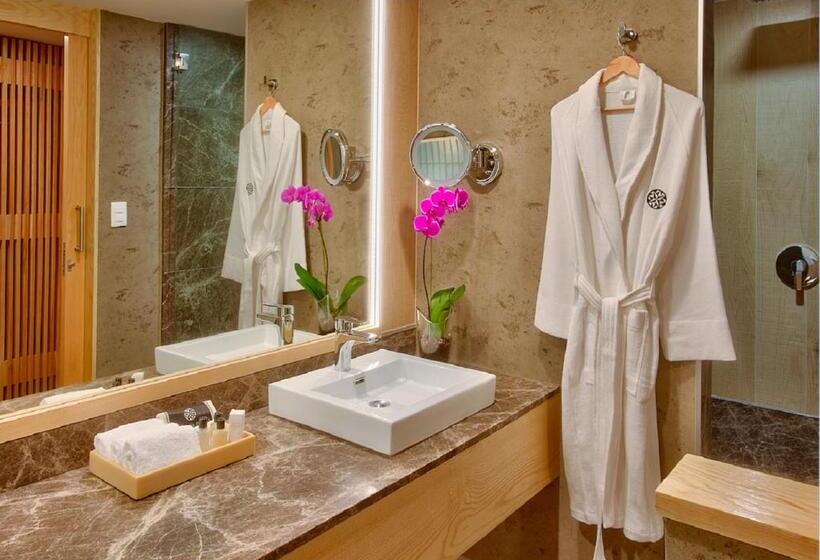 Номер Стандарт, Galeria Plaza Irapuato