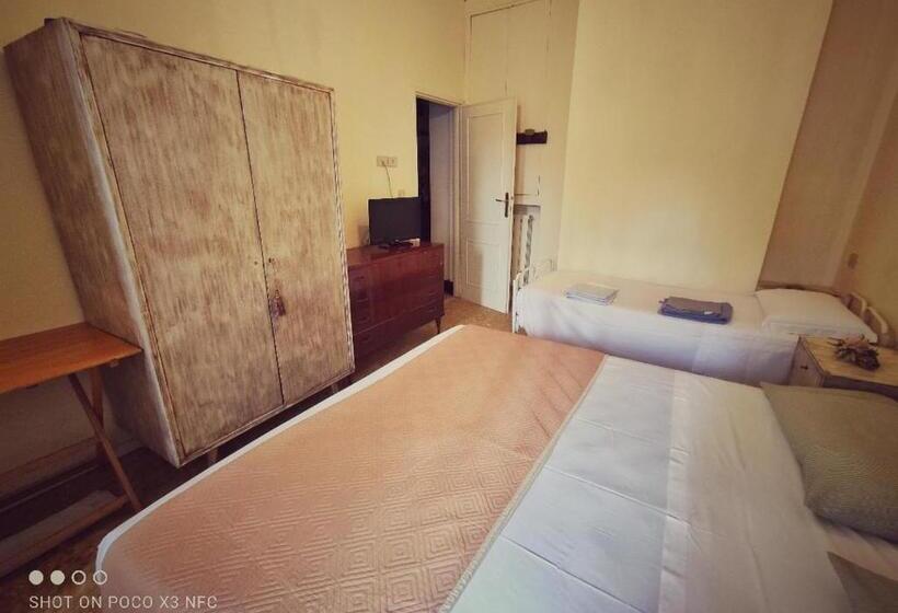 اتاق ساده سه نفره, Delhy