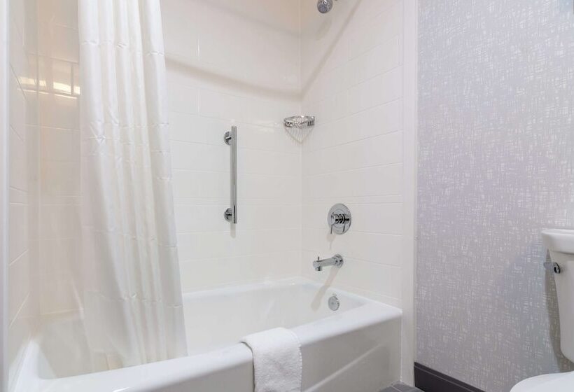 스탠다드 룸, Hampton Inn & Suites Dallas East