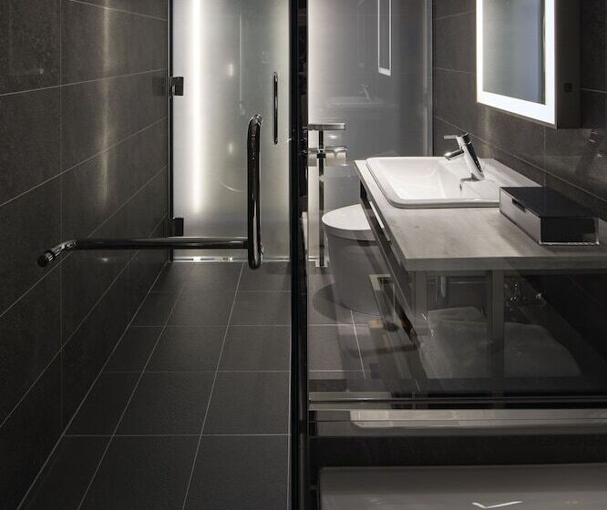 חדר דלוקס, The Flag Shinsaibashi