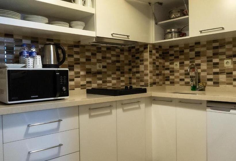1 Yatak Odalı Daire, Bursa Suites Apart Otel
