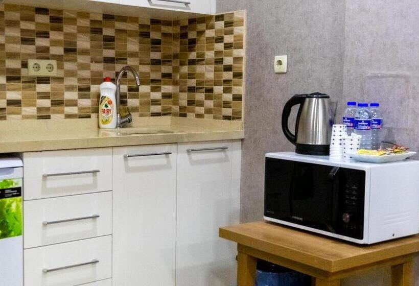 2 Yatak Odalı Daire, Bursa Suites Apart Otel