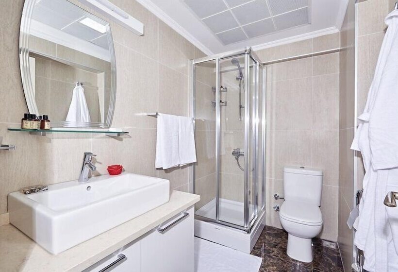 1 Yatak Odalı Daire, Bursa Suites Apart Otel