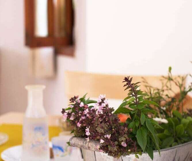 标准工作室, Anna Maria