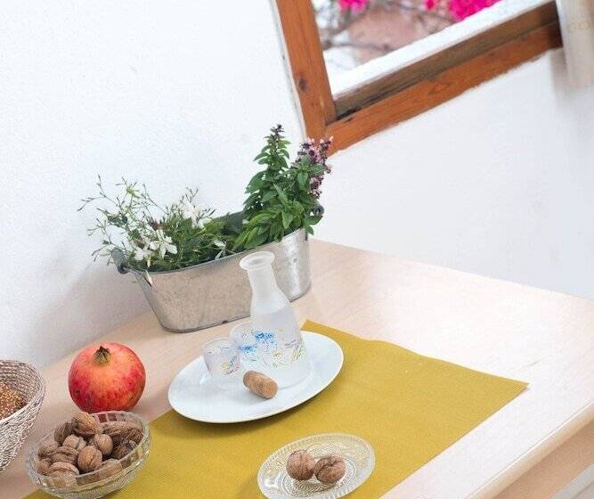 标准工作室, Anna Maria