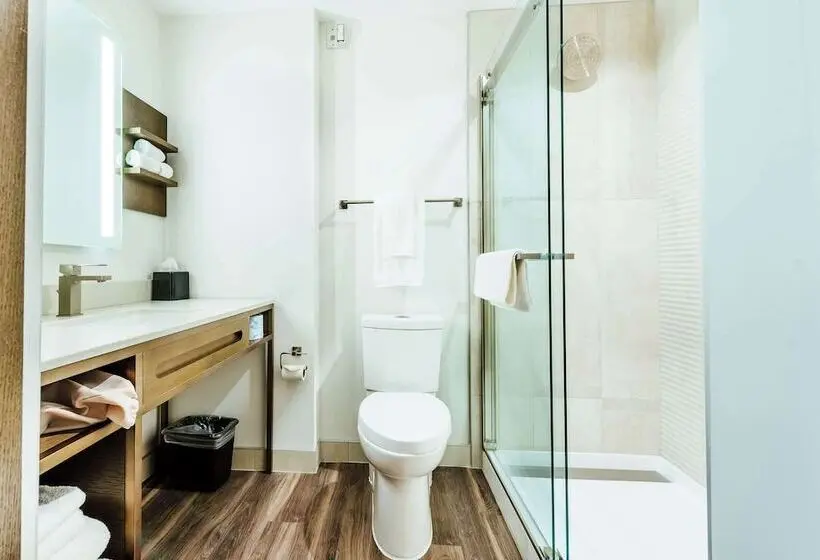 اتاق استاندارد با تخت دوبل, Hilton Garden Inn Denver Union Station, Co