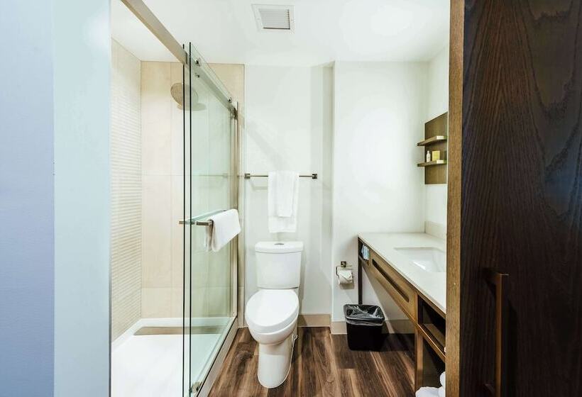 اتاق استاندارد با 2 تخت دوبل, Hilton Garden Inn Denver Union Station, Co