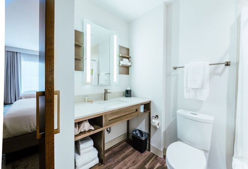 اتاق استاندارد با 2 تخت دوبل, Hilton Garden Inn Denver Union Station, Co