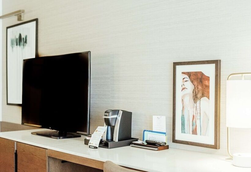 اتاق استاندارد با تخت دوبل, Hilton Garden Inn Denver Union Station, Co