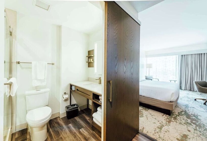 اتاق استاندارد با تخت دوبل, Hilton Garden Inn Denver Union Station, Co