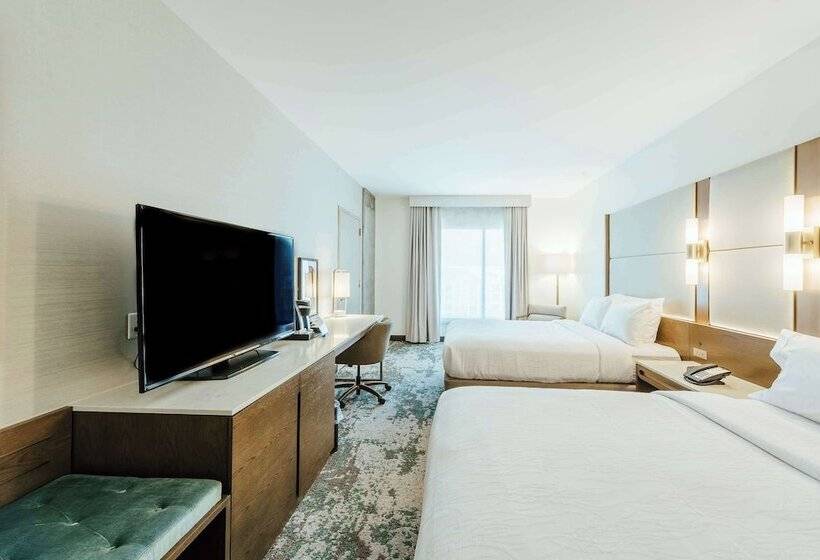 اتاق استاندارد با 2 تخت دوبل, Hilton Garden Inn Denver Union Station, Co