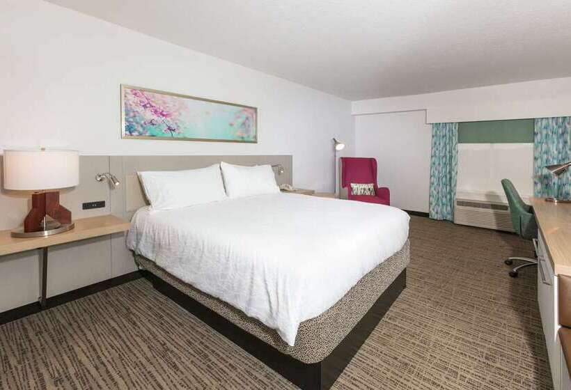 اتاق استاندارد با تخت بزرگ, Hilton Garden Inn Denver Union Station, Co