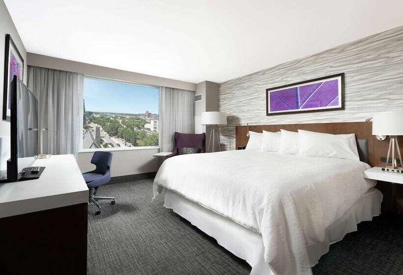 اتاق لوکس, Hilton Garden Inn Ottawa Downtown