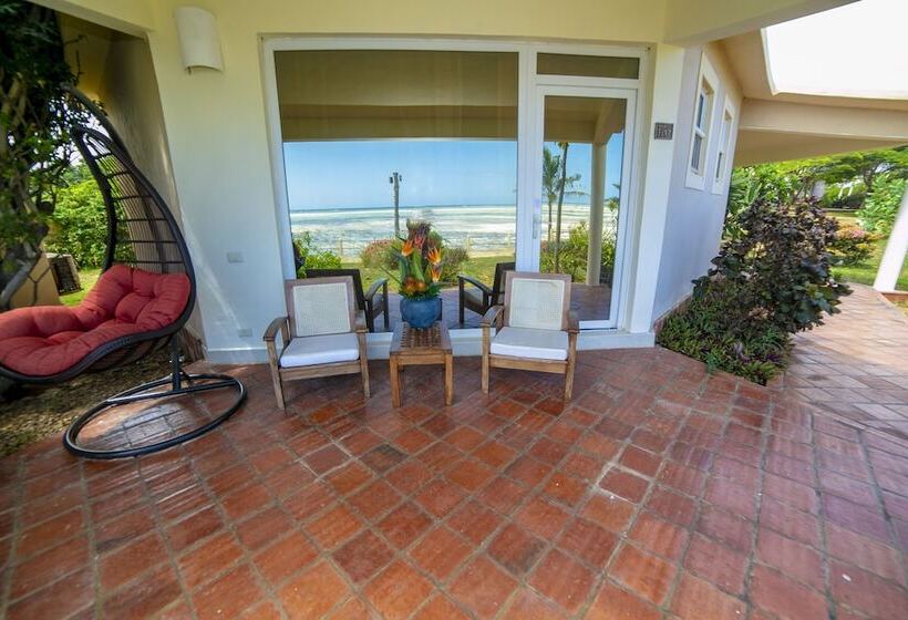 اتاق استاندارد با چشم‌انداز دریا, The One