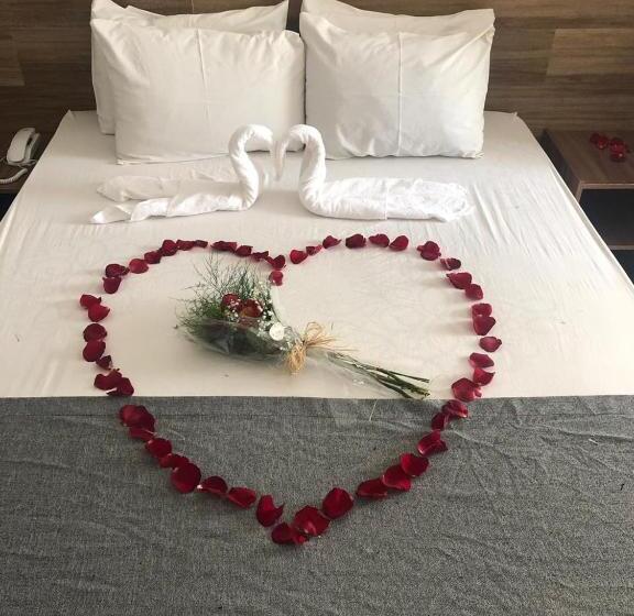 Camera Standard, Tropical Mar