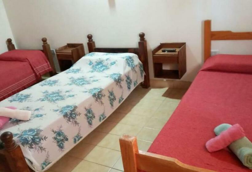 스탠다드 트리플 룸, Avenida