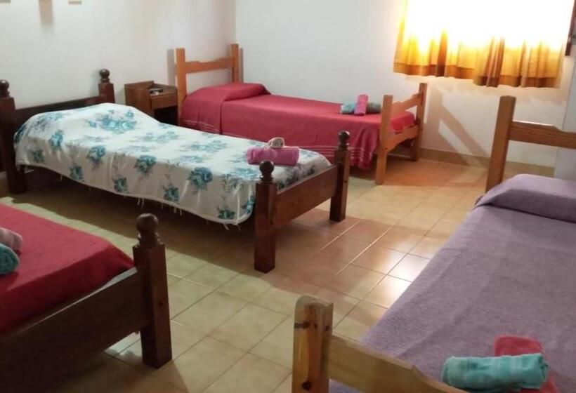 4인용 스탠다드 룸, Avenida