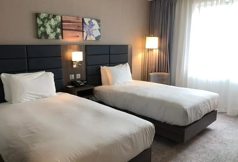 اتاق استاندارد, Hilton Garden Inn Birmingham Airport