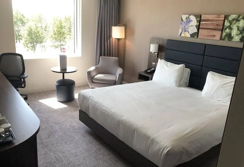 اتاق لوکس, Hilton Garden Inn Birmingham Airport