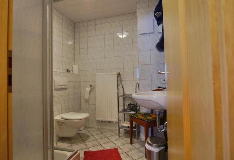 Апартаменты 1 Спальня, Gasthof Pension Waldfrieden