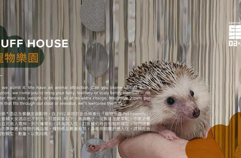 اتاق پرمیوم, Kimpton Da An Taipei An Ihg