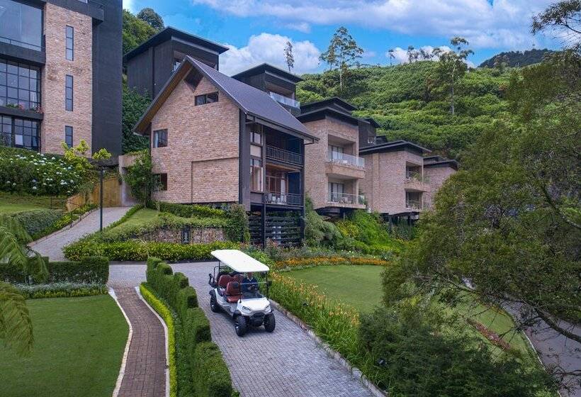 샬레, The Golden Ridge