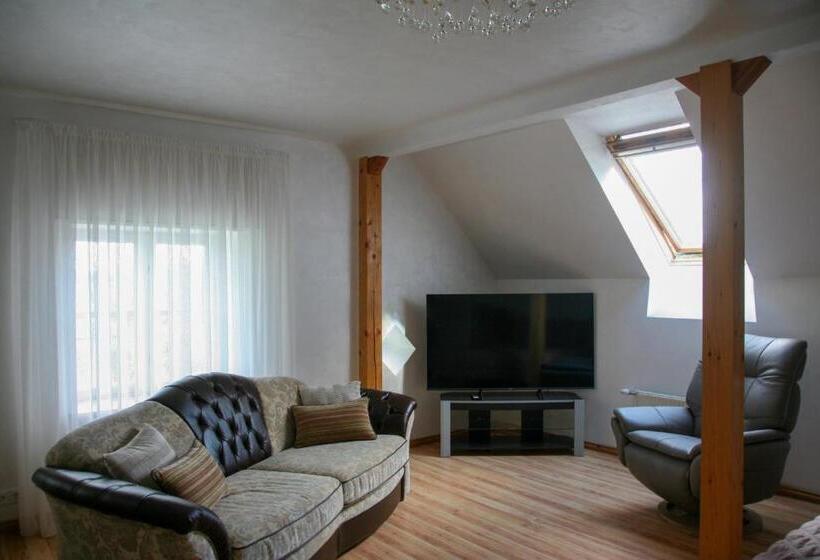 استودیوی لوکس, Pils