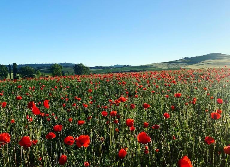 スタンダードルーム, Agriturismo Poggio Tobruk