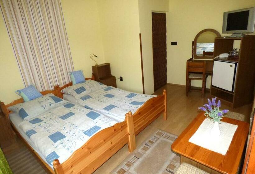 Номер Стандарт, Janika Pension