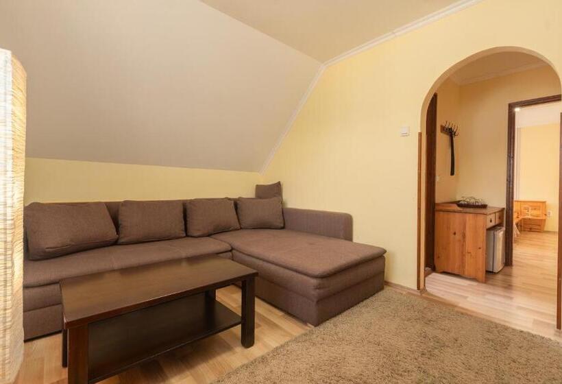 带1个卧室的公寓, Janika Pension