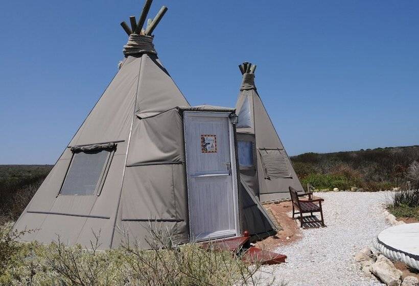 كوخ قياسي, Farr Out Guesthouse