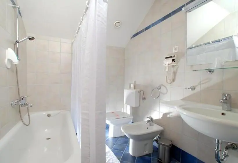 اتاق لوکس یک تخته, Guesthouse Bajc