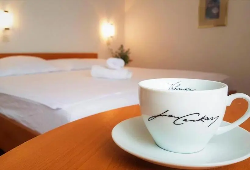 اتاق لوکس, Guesthouse Bajc
