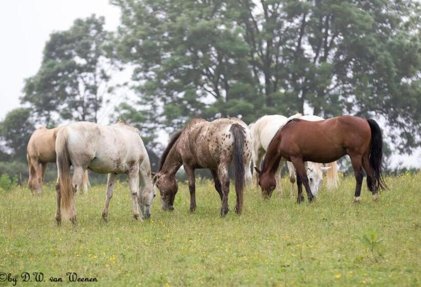 디럭스 룸, La Maison Aux Prés