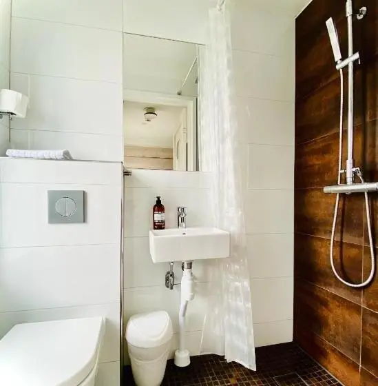 اتاق عادی یک تخته, Lapland Lodge