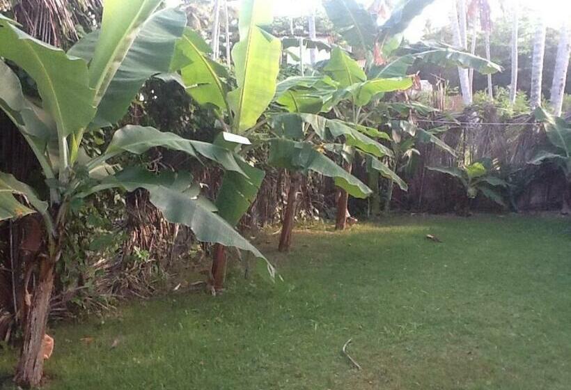 اتاق استاندارد, Villa La Caleta