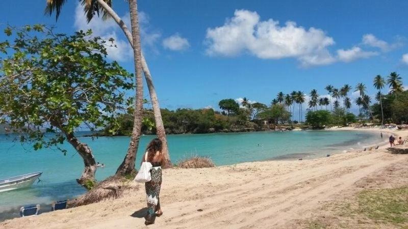 اتاق استاندارد, Villa La Caleta