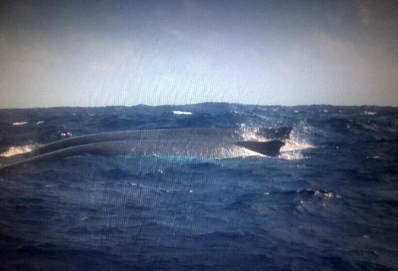 کابین, Villa La Caleta