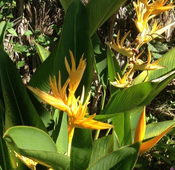 آپارتمان 1 خوابه, Villa La Caleta